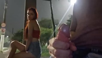 Transit Du...