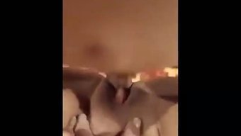 Göğüslü Gü...