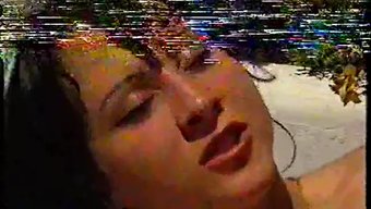 Vintage Av...