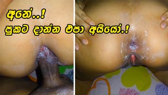 Sri Lanka'...