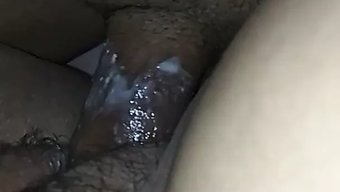 Büyük Doğa...