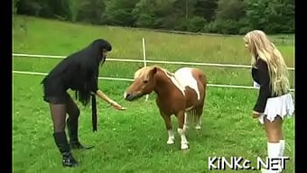 Dominatrix...