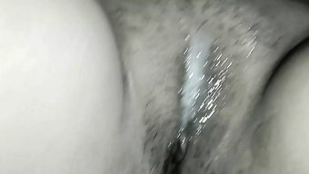 Hintli (18...