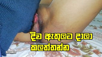 Srilankalı...