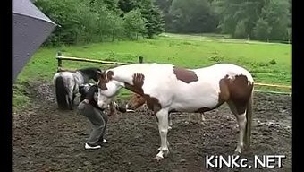 Sert Bdsm ...