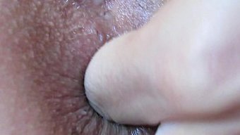 Hd Anal Oy...