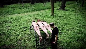 18+ Alman ...