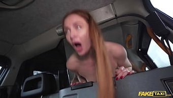 Seksi Nayl...