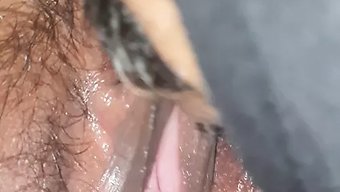 Hintli (18...