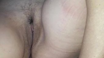 Seksi Olgu...