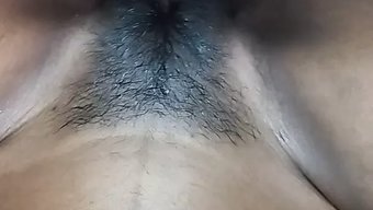 Asyalı Hin...