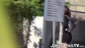 Japon Güze...