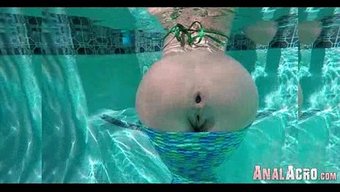 Ham Anal E...