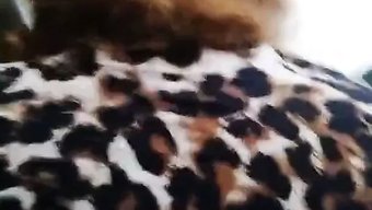 Büyük Güze...
