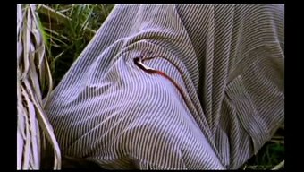 Lina Romay...