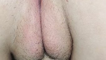 Anal Porno...