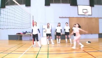 Cfnf Voley...