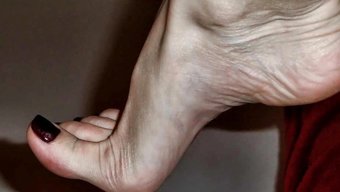 Seksi Ayak...