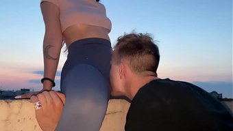 Lulu Leggi...