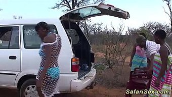 Afrika Org...