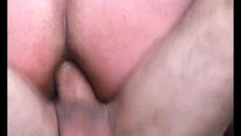 Kinky Twis...