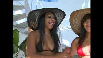 Amatör Vid...